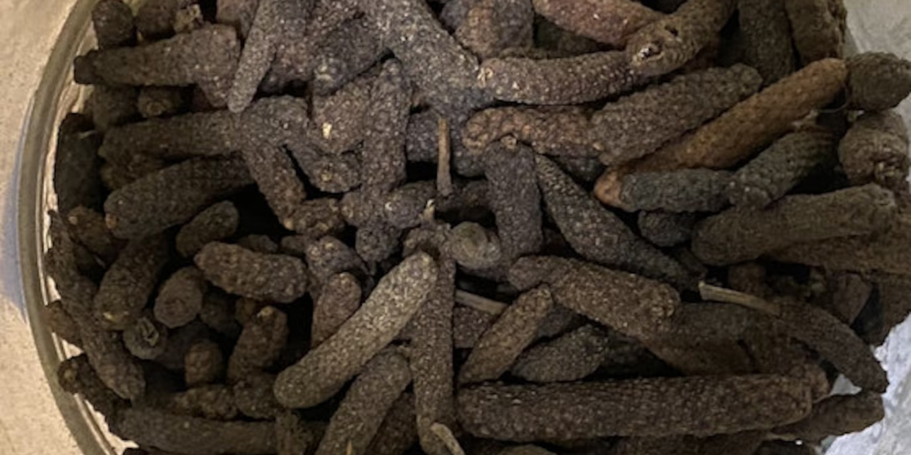 Buy Java Long Pepper | Premium Indonesian Spices by PT Adi Alam Segar