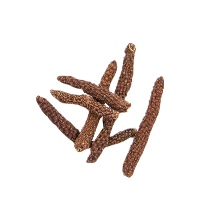 Our Spices – PT Adi Alam Segar | Premium Indonesian Spices & Herbs